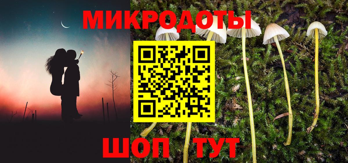 Галлюциногенные грибы прущие грибы  Вход с VPN  Рыбинск  Галлюциногенные грибы Psilocybine cubensis 