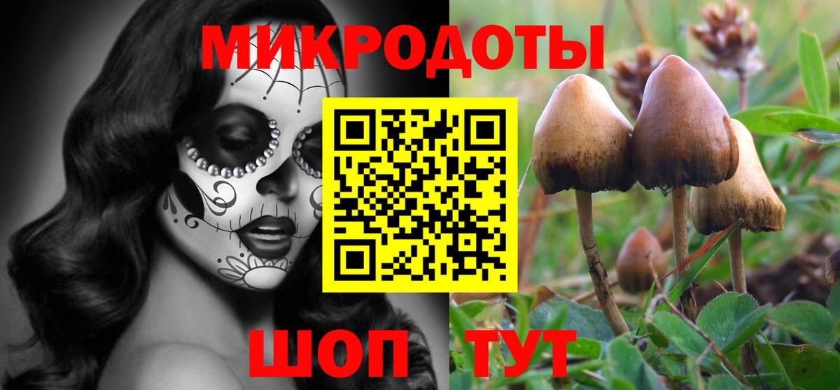 Псилоцибиновые грибы мицелий Рыбинск
